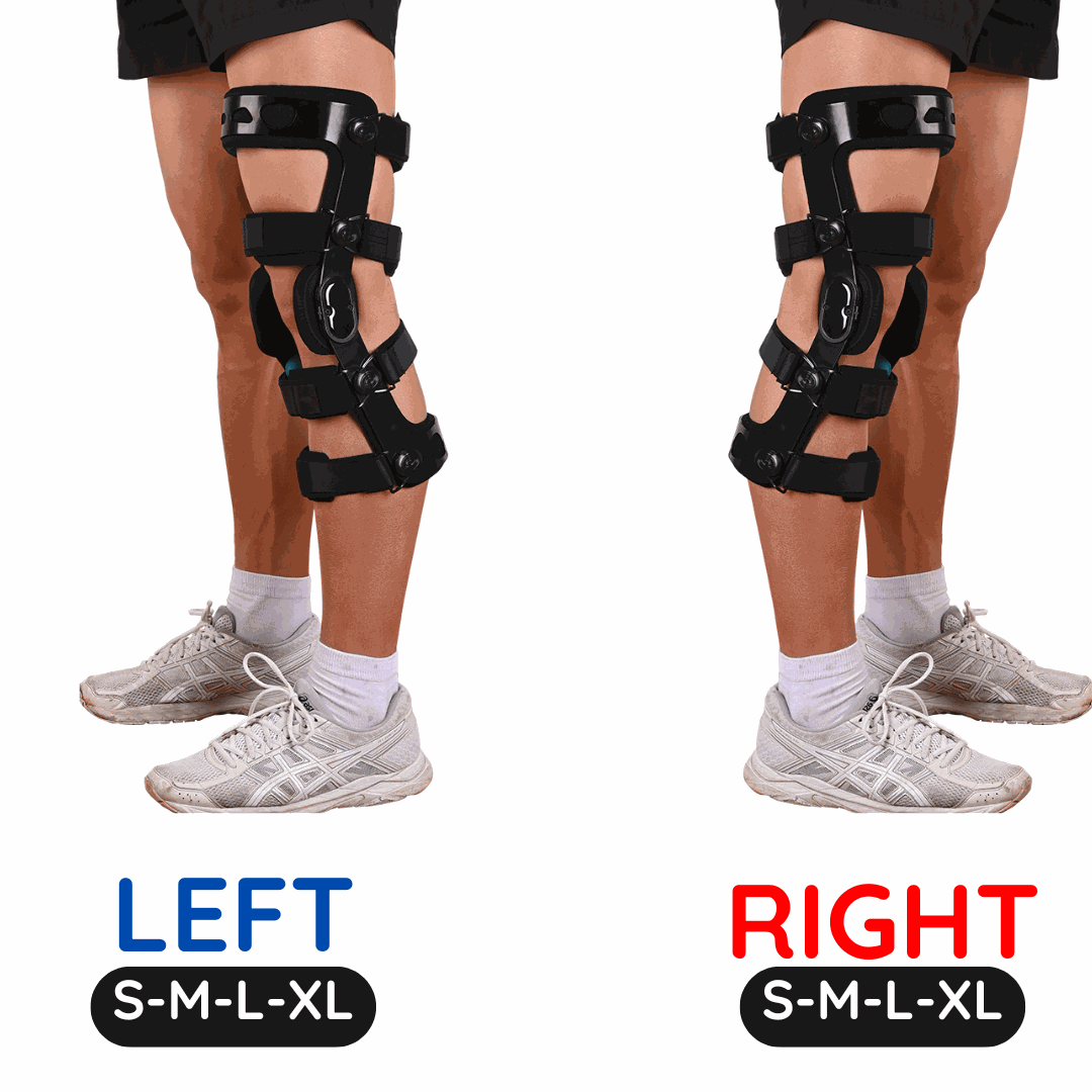 Knee Brace Ligament size image